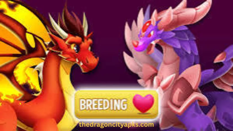 dragon city dragon source