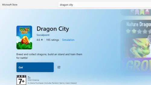 dragon city installation guide